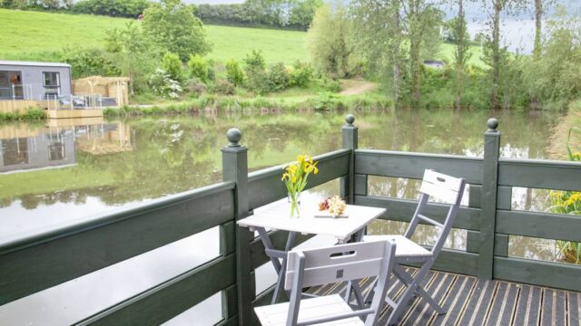 46b640c24974ddcd34c767f656